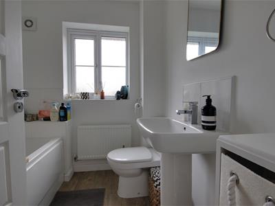Picture 11